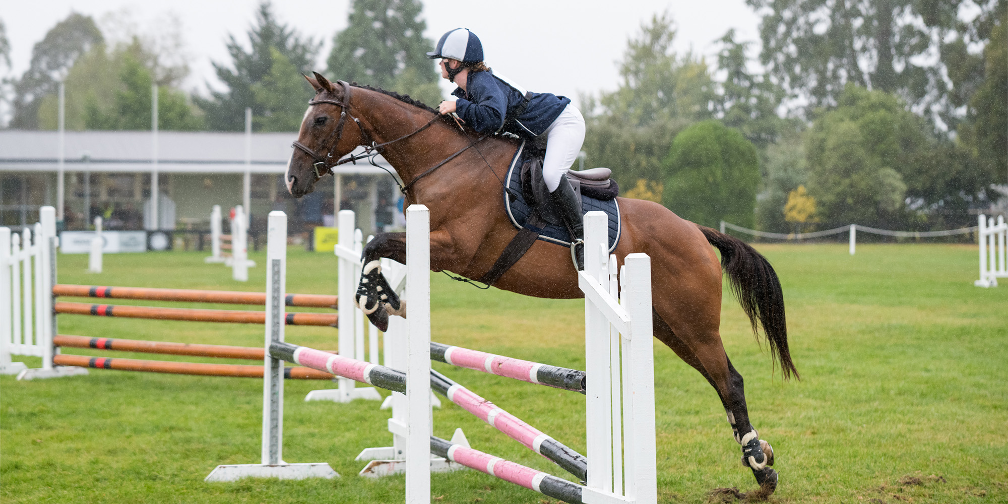 CanterburyShowJumping AT0 3341