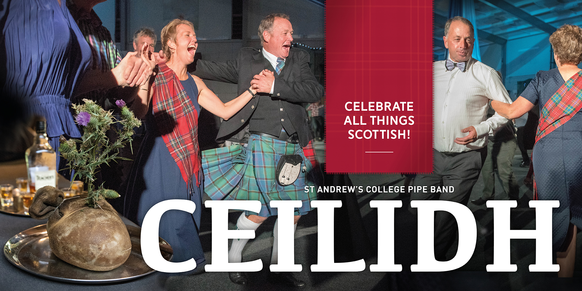 Ceilidh 2x1 Tile